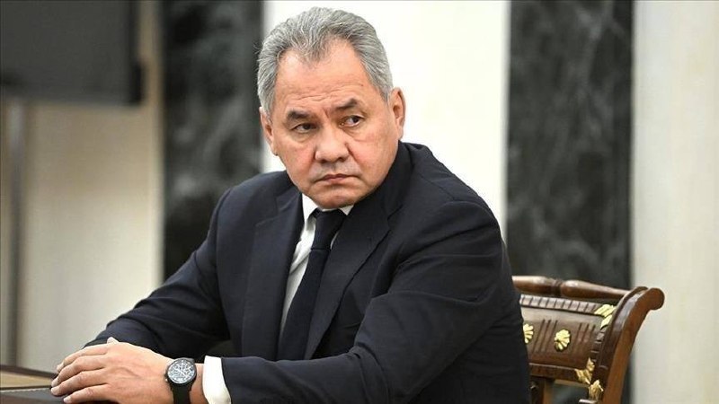 Шойгу заявил о несоюзнических шагах Армении в отношении России