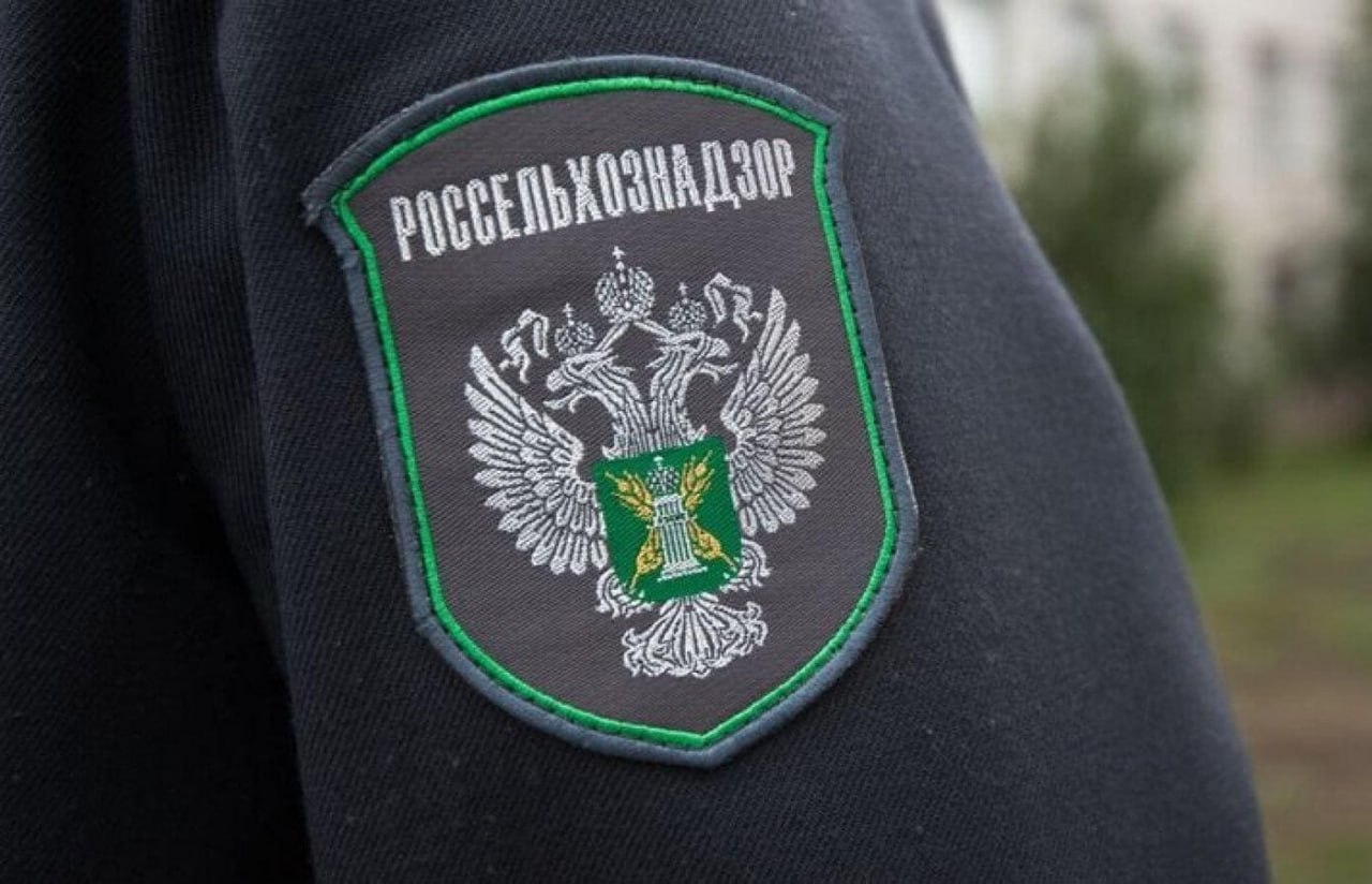 Россельхознадзор ограничил ввоз цветов из Армении