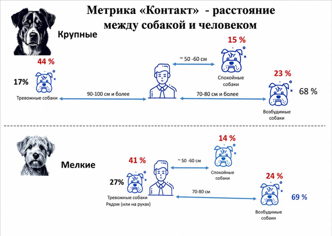 Российские учёные нашли способ определить тревожность у собак