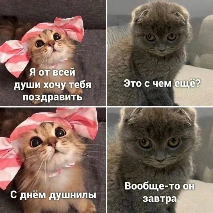 День душнил и День шизофреника отмечают сегодня