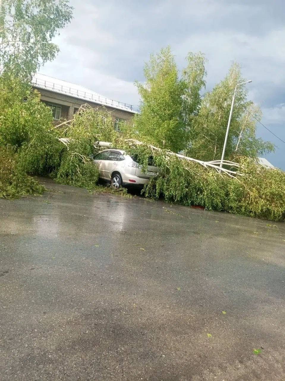 Мощный ураган с ливнями обрушился на Алтайский край. По данным СМИ, без электричества остались свыше 6 тысяч домов.