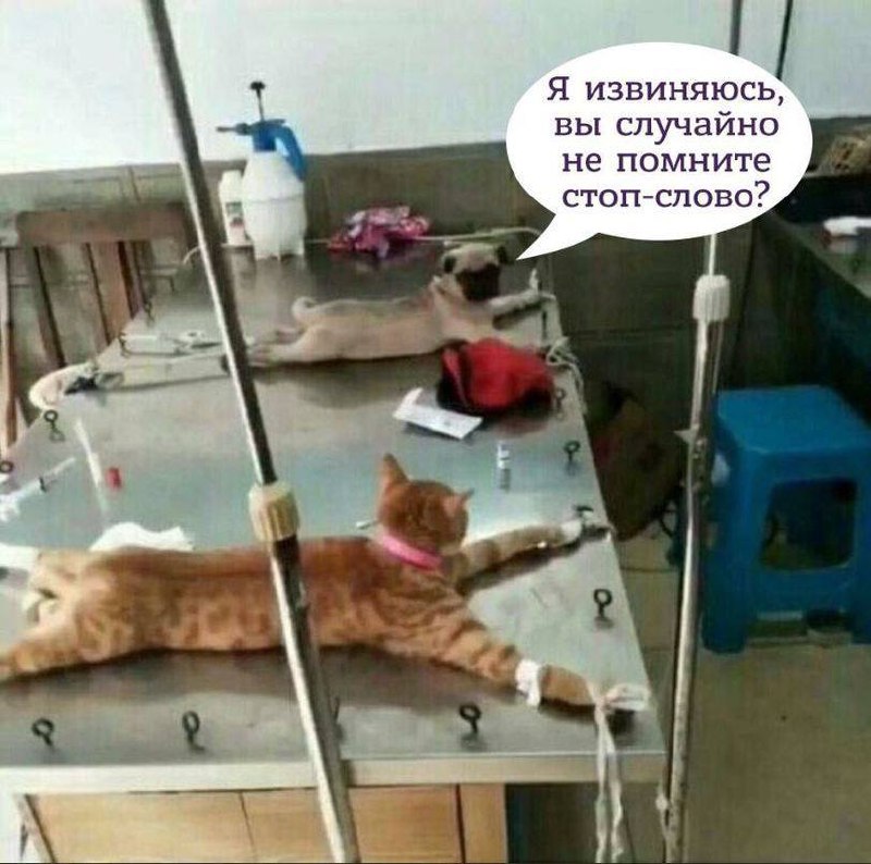 Международный день БДСМ: что известно о неофициальном празднике