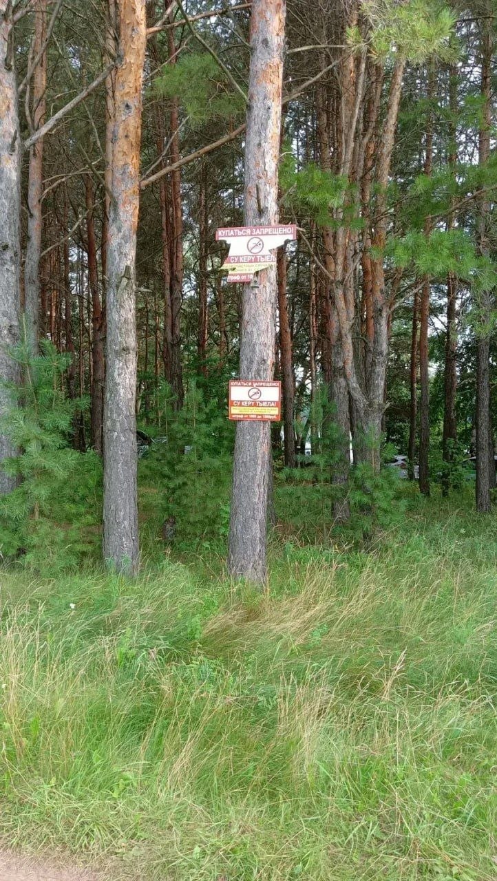 Гибель ребенка в пруду в Татарстане