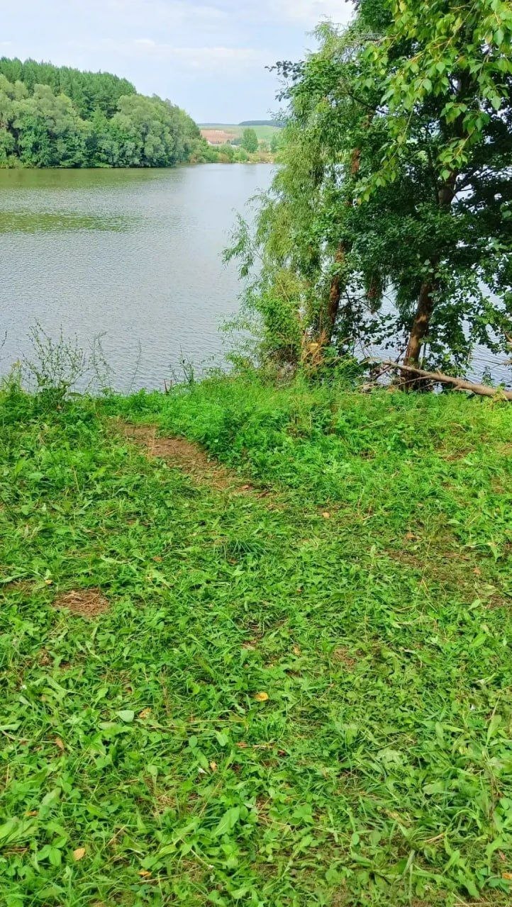 Гибель ребенка в пруду в Татарстане