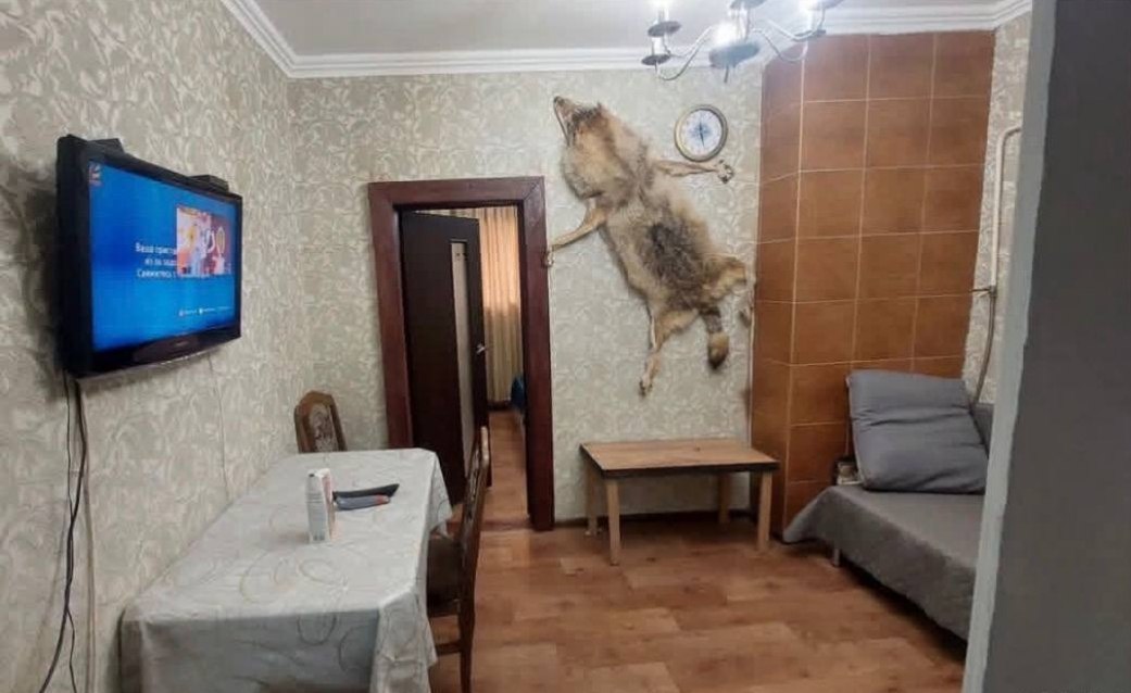 В Пятигорске нашли квартиру со сплющенным волком