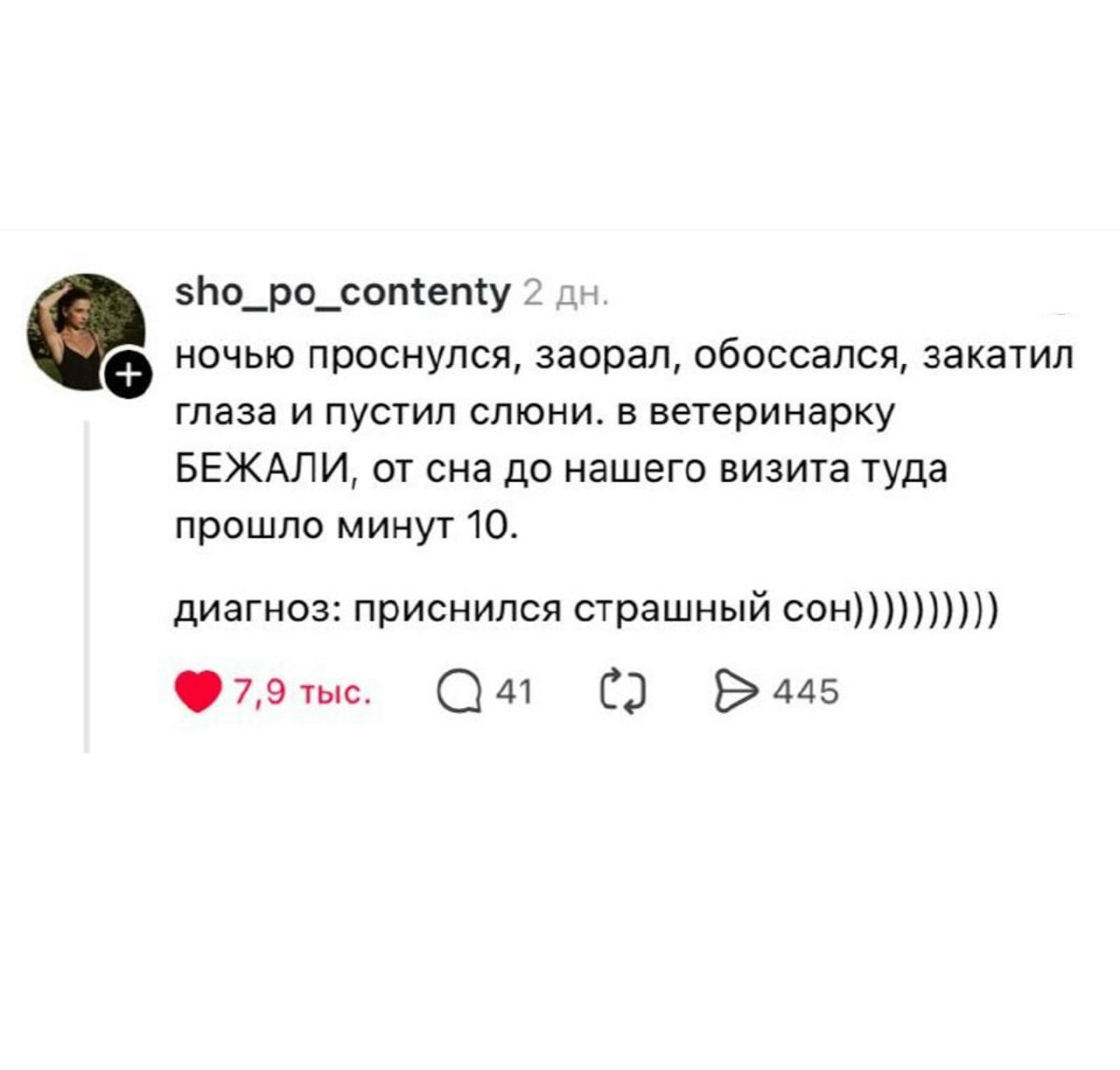Владельцы питомцев рассказали о бесполезных походах к ветеринару