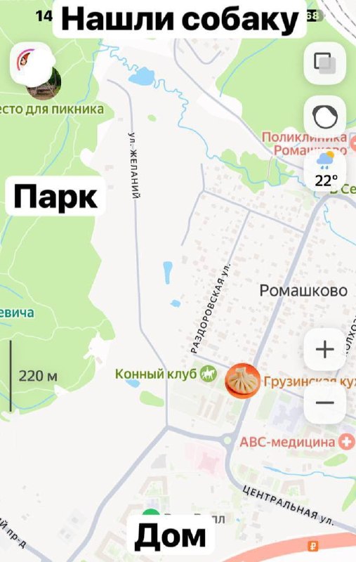Собака помогла найти тело пропавшей женщины в Подмосковье