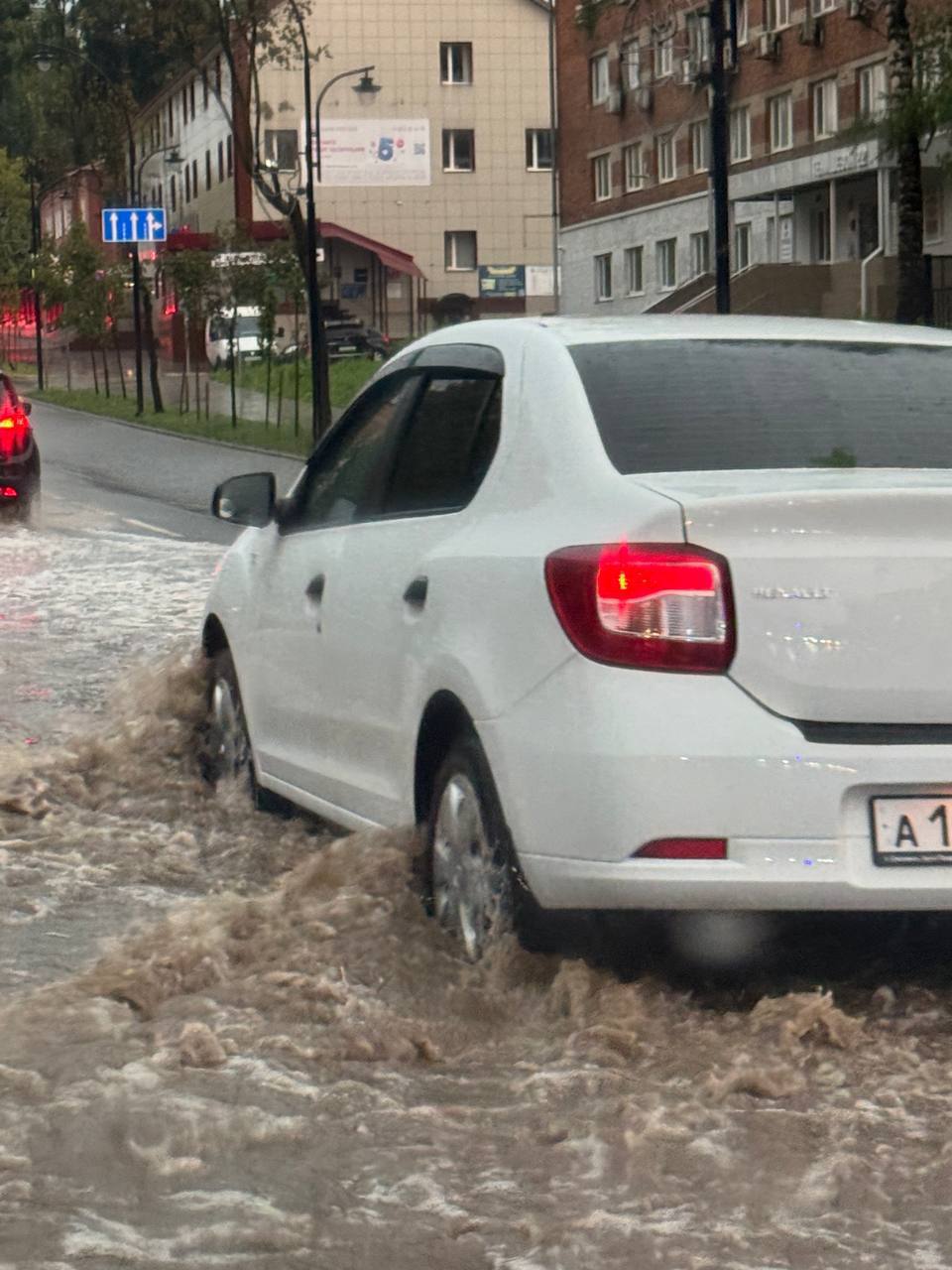 Женщина и ребёнок погибли из-за урагана в Смоленской области
