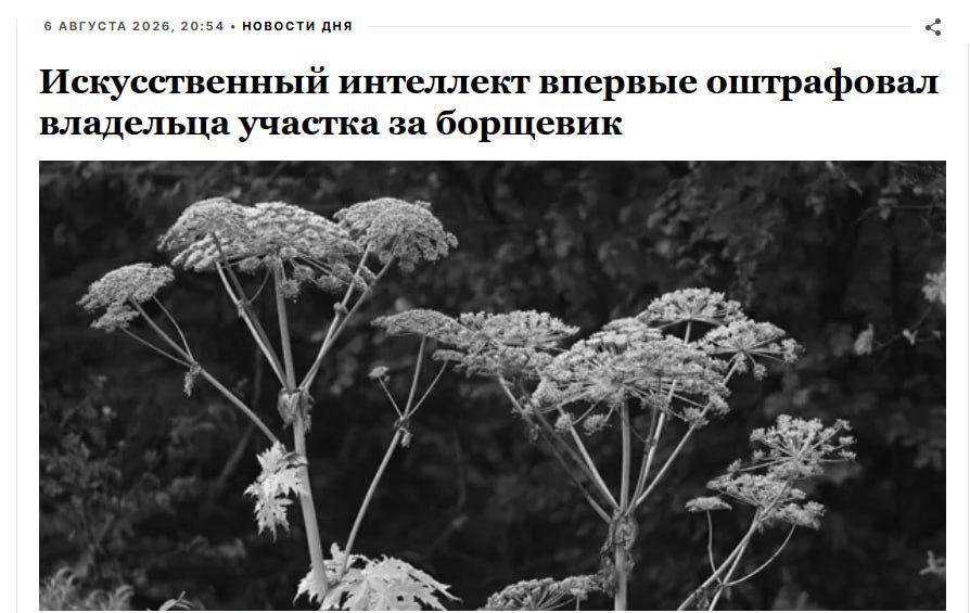 ИИ впервые оштрафовал за борщевик в Подмосковье