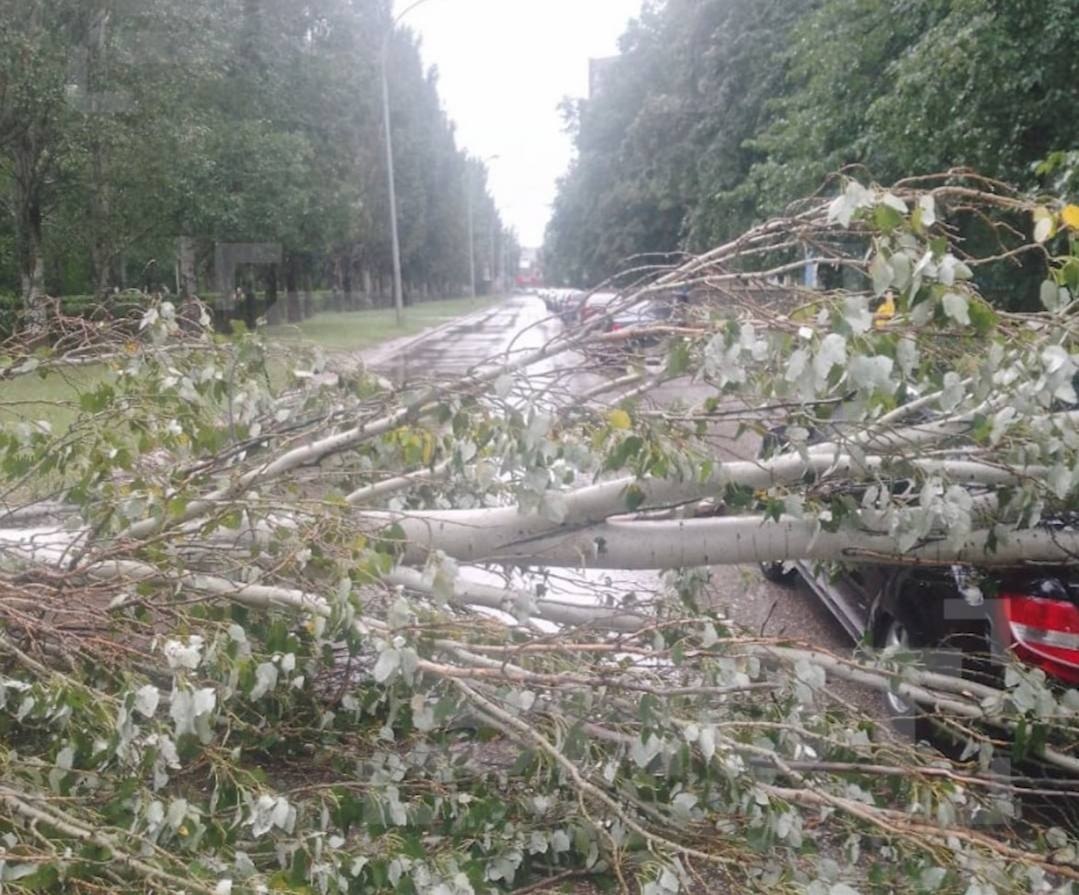 Ураган в Самарской области: повреждены дома и авто, теплоход развернуло