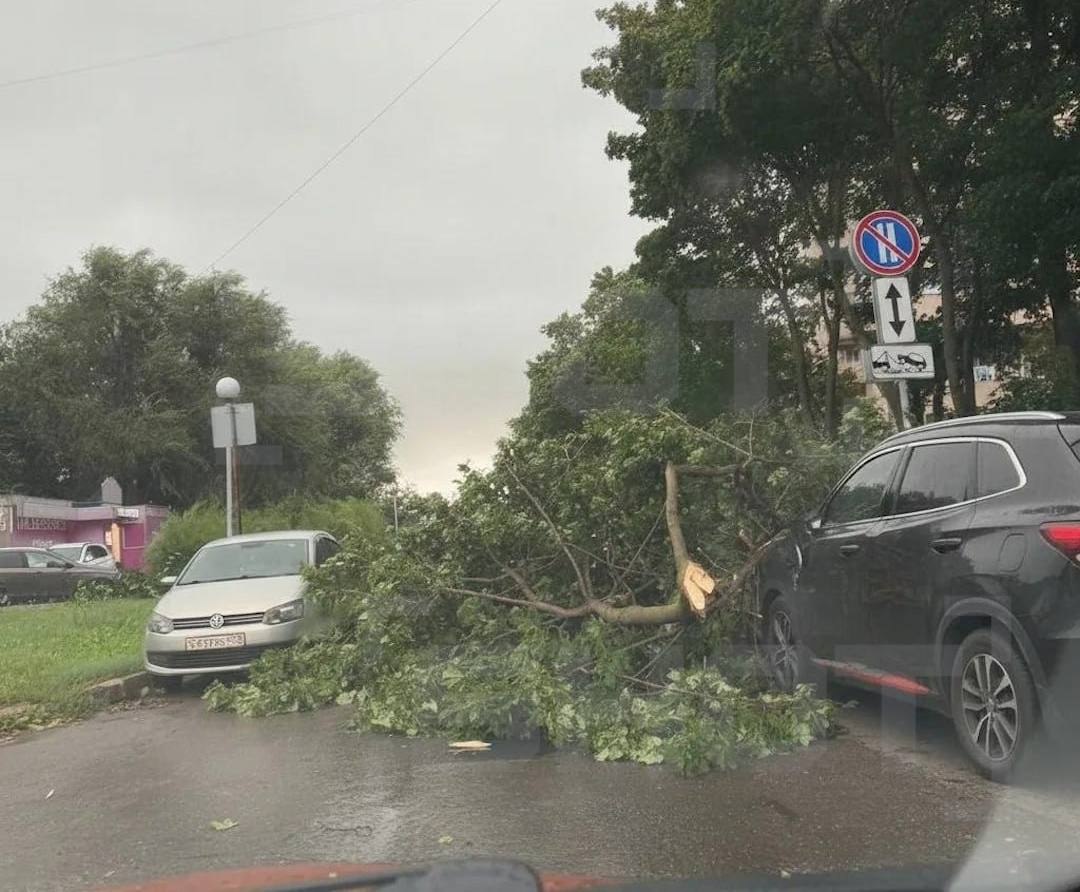 Ураган в Самарской области: повреждены дома и авто, теплоход развернуло