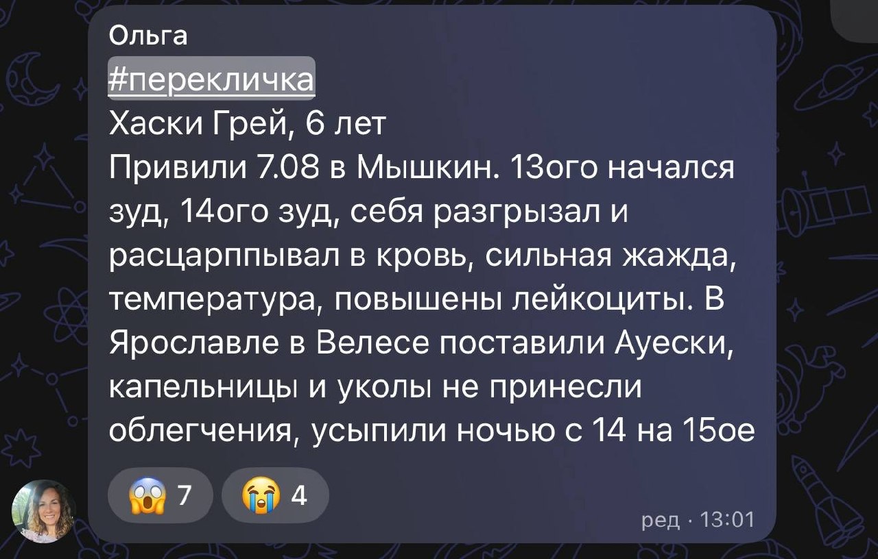 Сотни собак погибли после прививки «Мультикан-8»