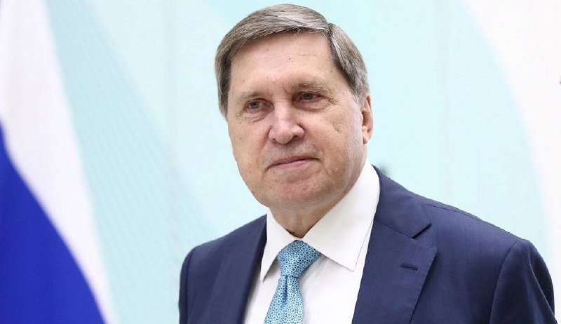 Кремль не подтвердил визит Уиткоффа и Кушнера