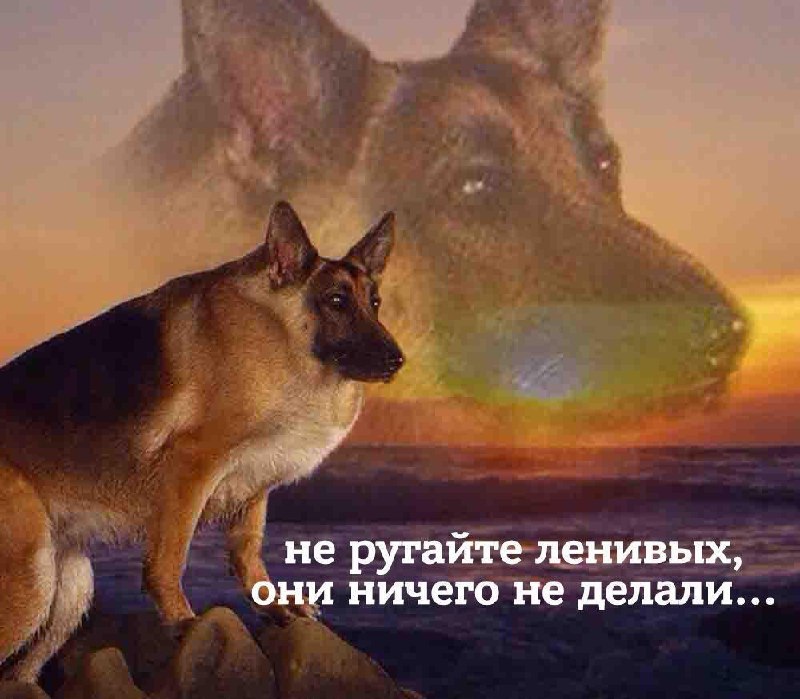 Сегодня отмечается Всемирный день лени