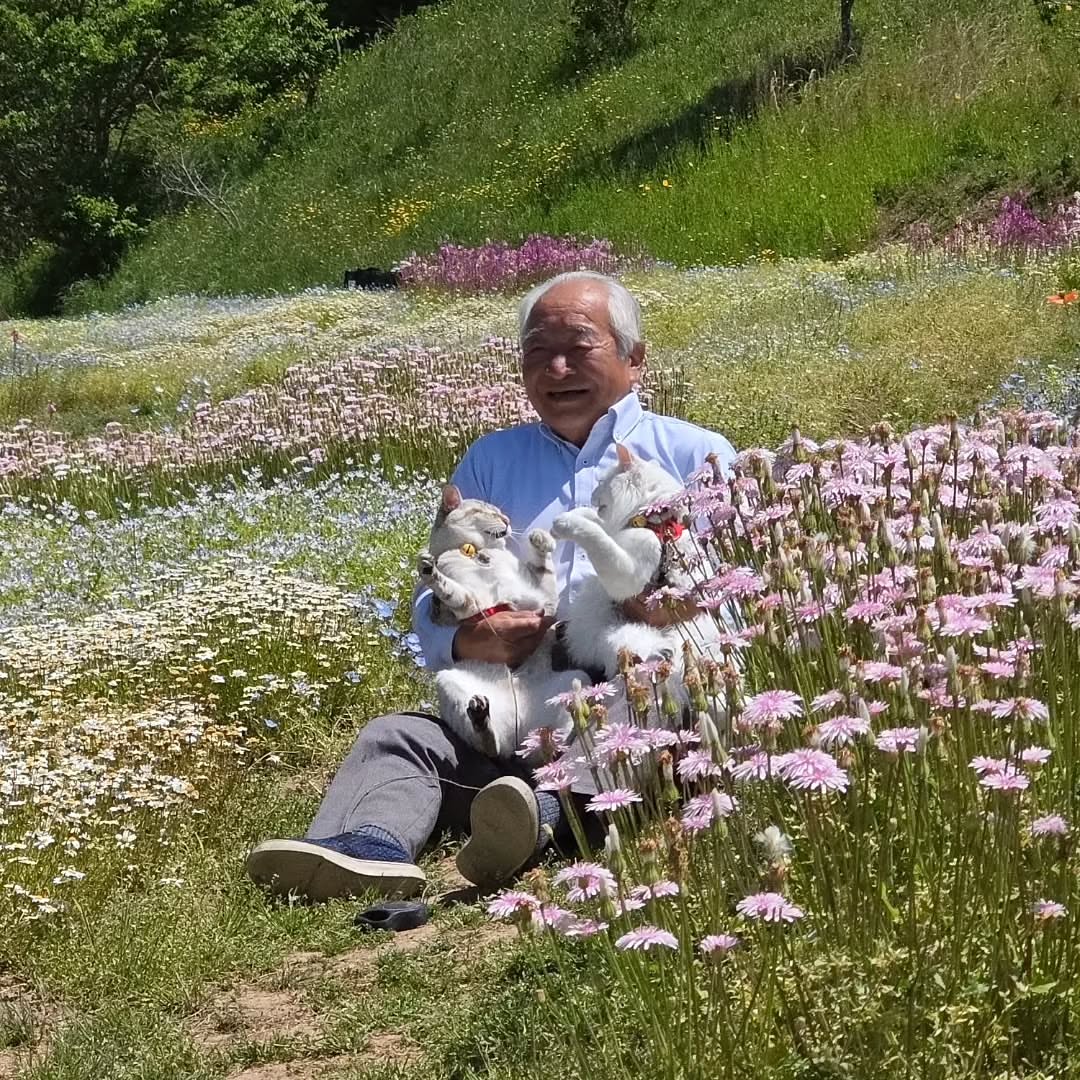 Японский дедушка стал звездой соцсетей благодаря фото с котами