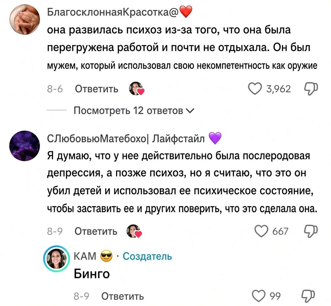 Американка убила троих детей, но соцсети обвиняют мужа-Близнеца
