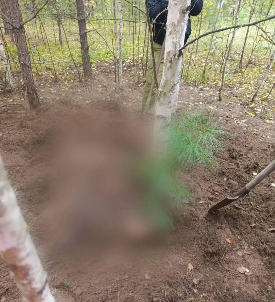 Медведь убил двух женщин в Красноярском крае