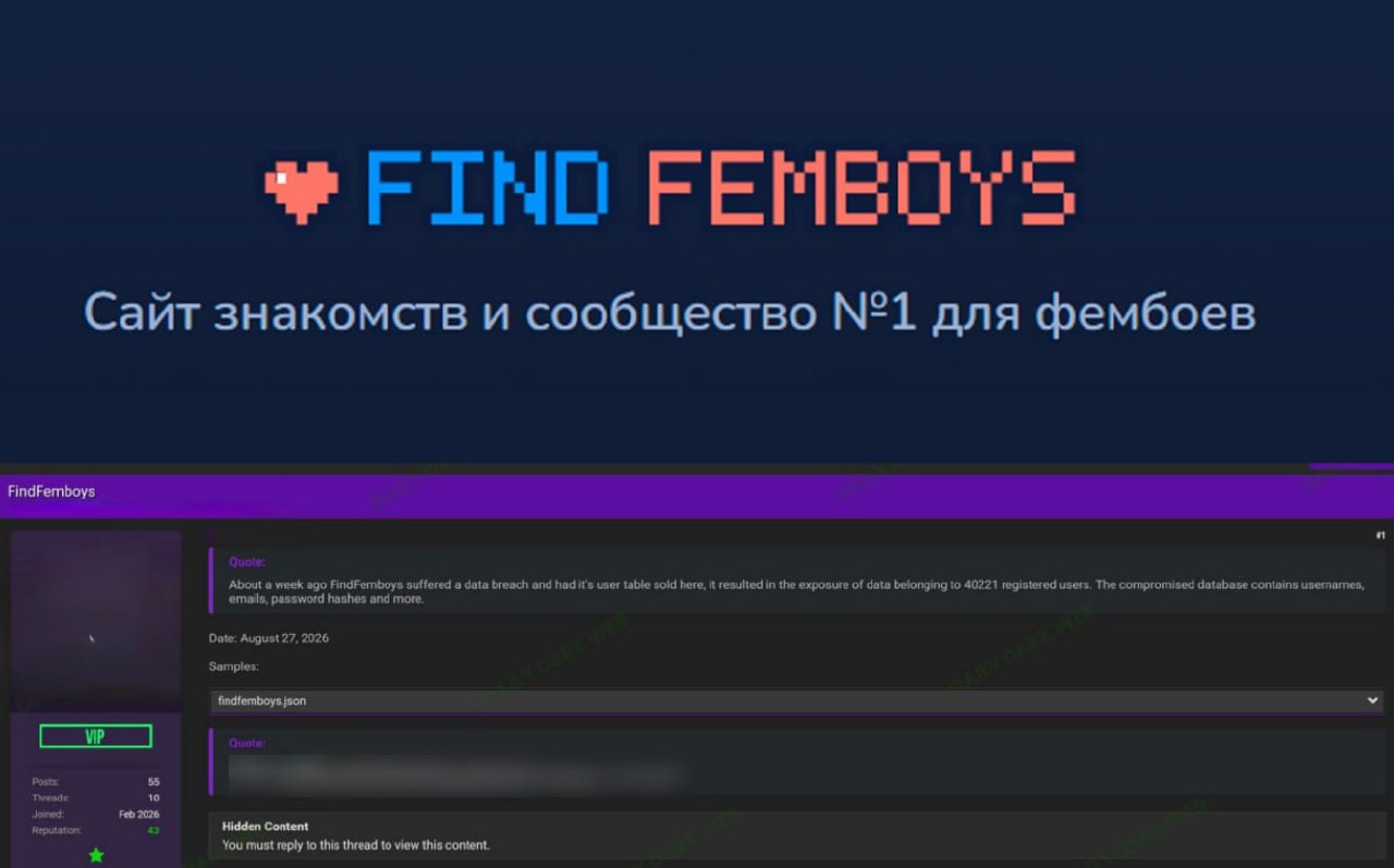 Хакеры взломали базу данных сайта знакомств Find Femboys