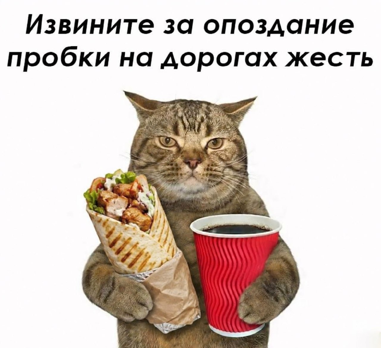 День опозданий: праздник для тех, кто вечно задерживается