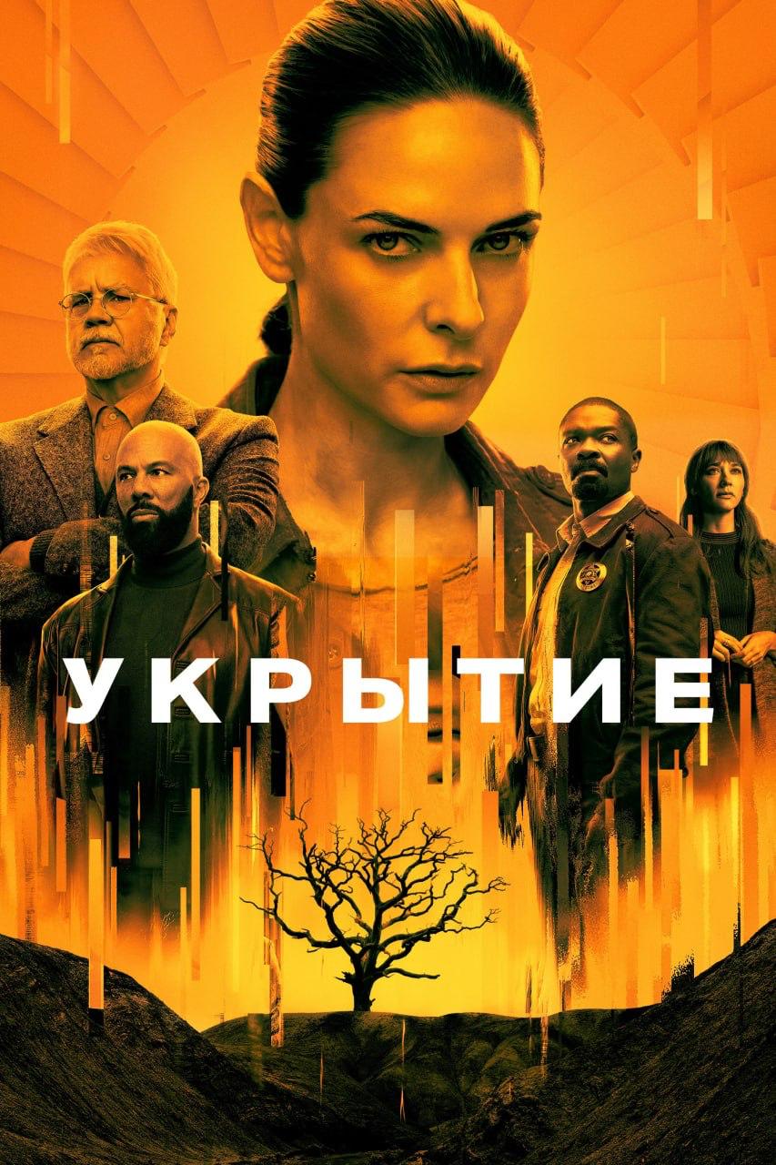 Подборка сериалов с высокими рейтингами