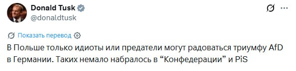 Туск раскритиковал поляков, радующихся успеху АдГ
