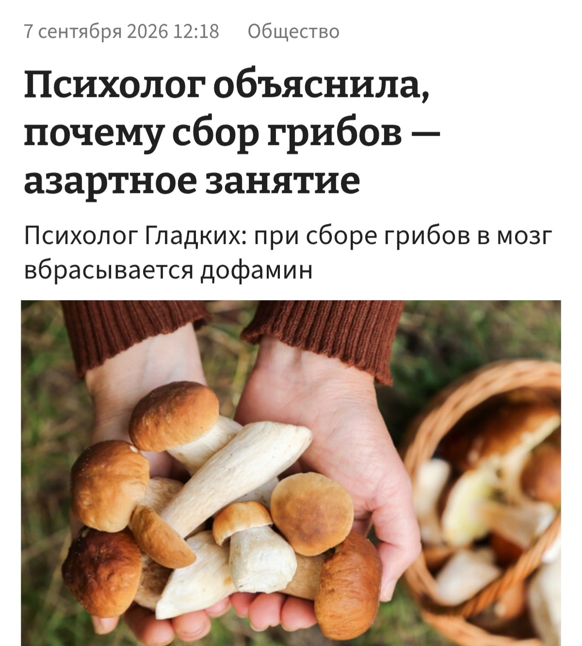 Психологи сравнили грибников с лудоманами