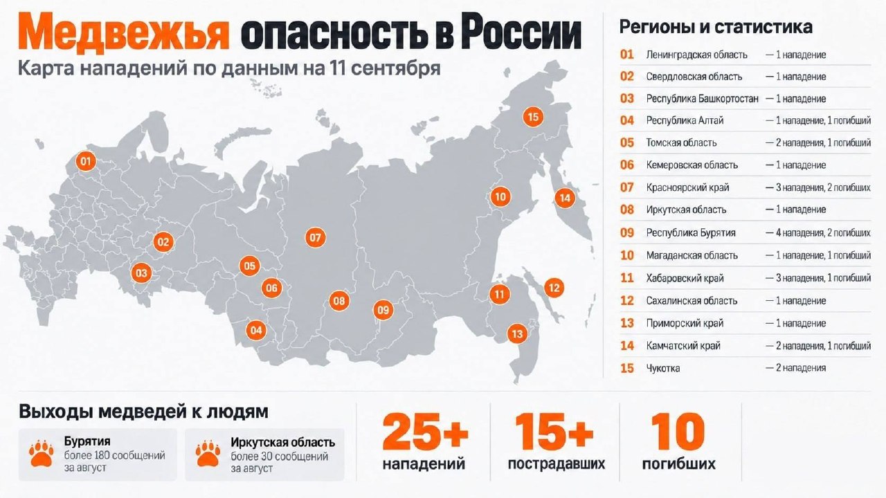 В России зафиксировано рекордное число нападений медведей с начала лета