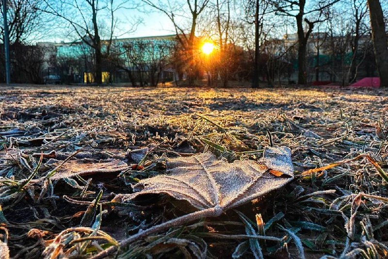 Москва ожидает самую холодную ночь с мая