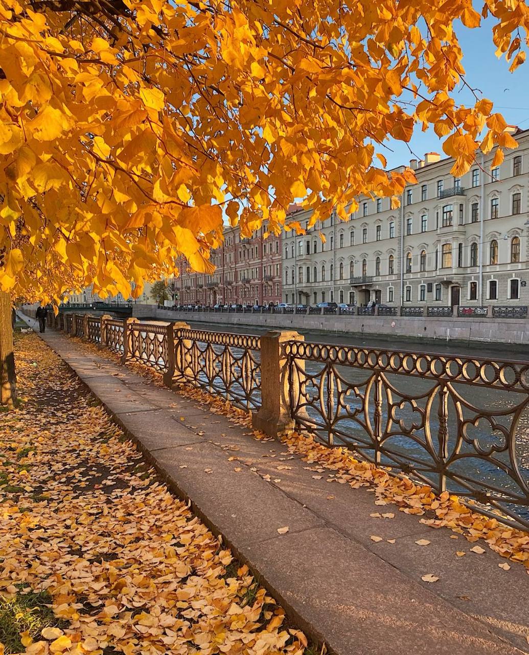 Синоптики не ждут бабьего лета в Петербурге