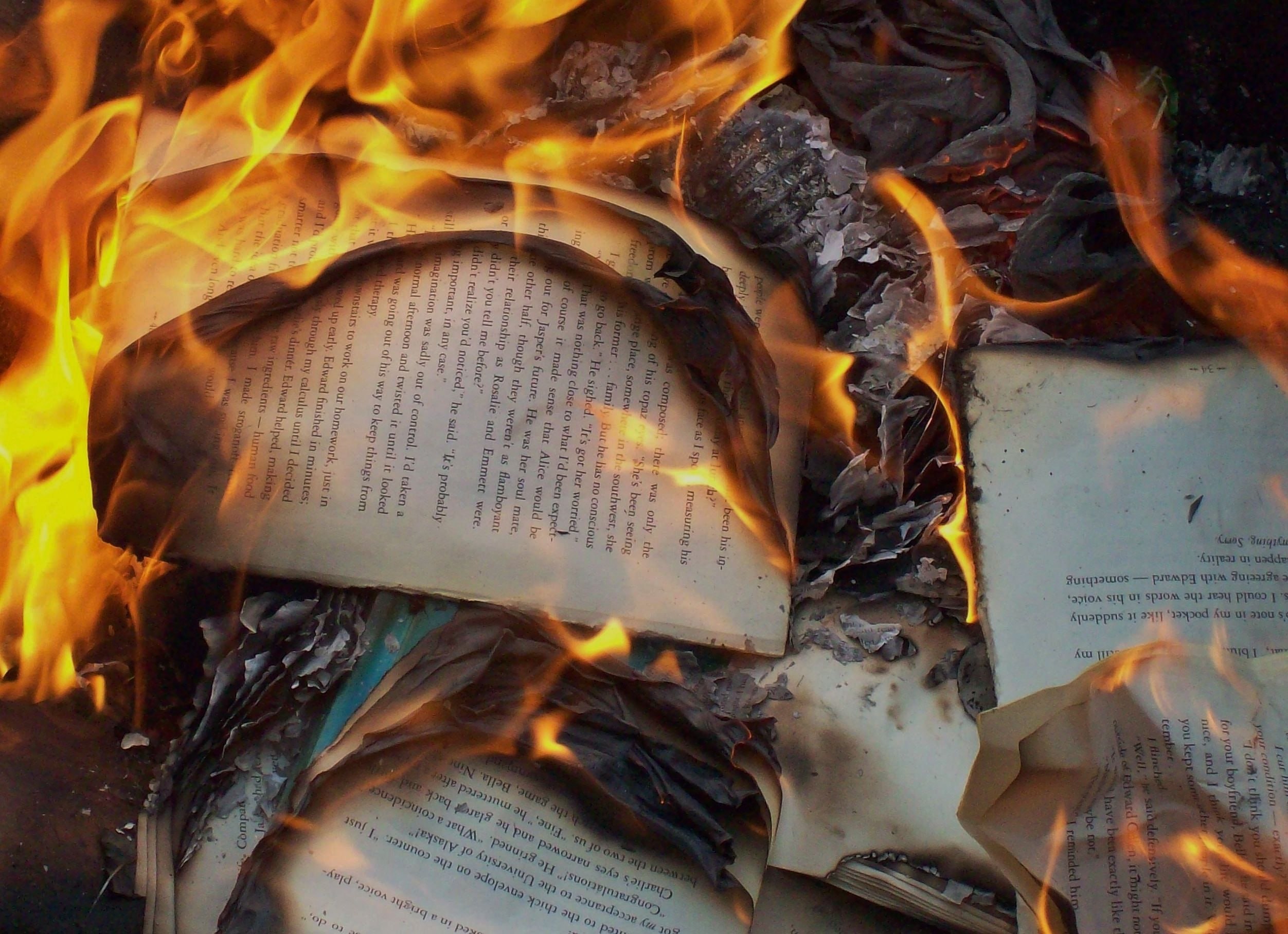 В колонии Санкт-Петербурга сожгли зарубежные книги заключённых