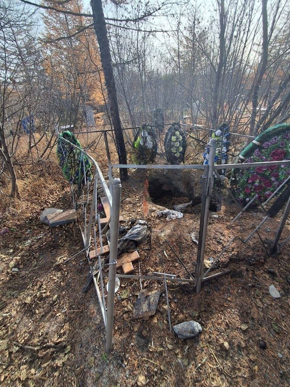 В Магадане медведь раскопал могилу и съел тело женщины