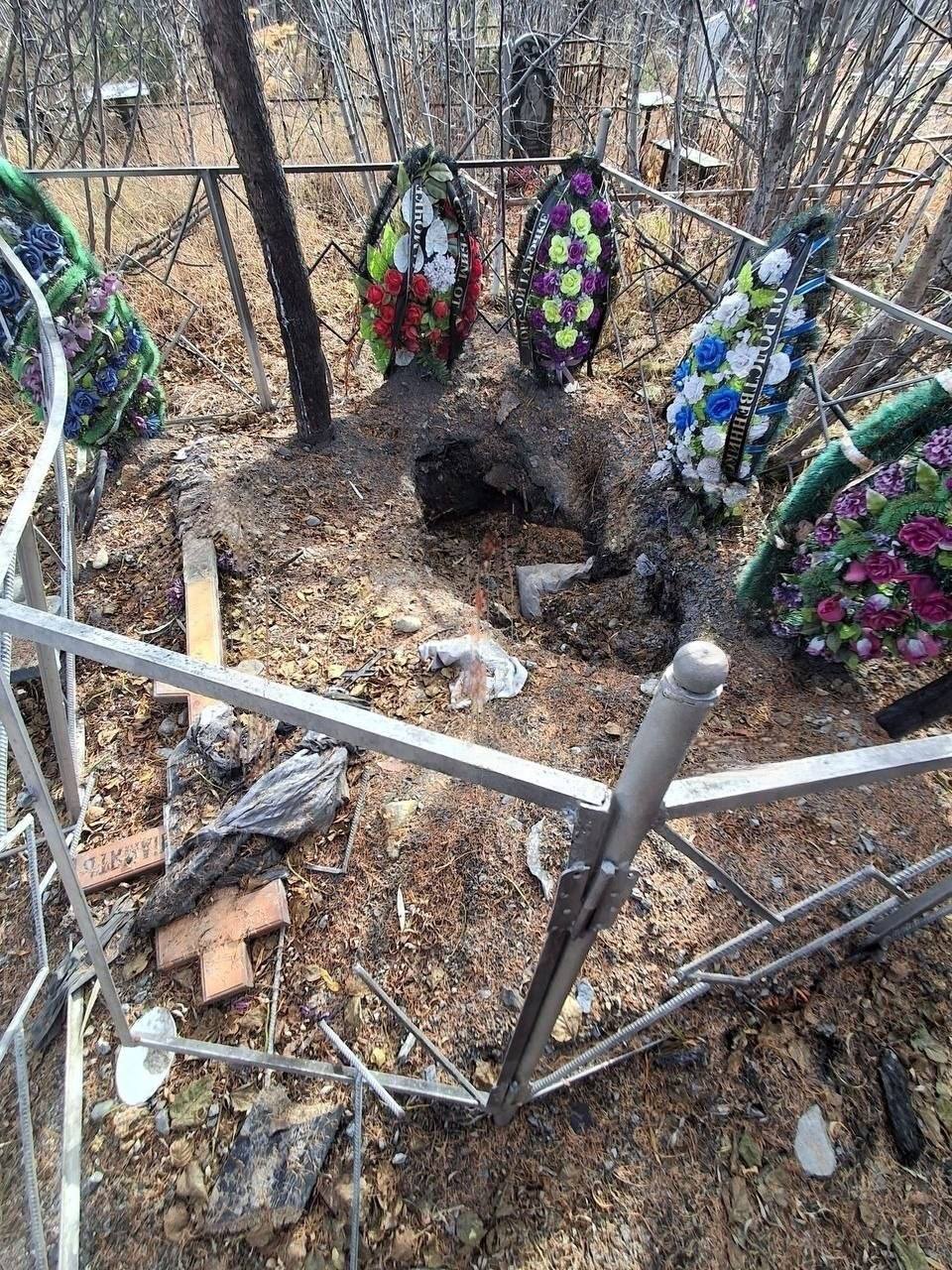 В Магадане медведь раскопал могилу и съел тело женщины