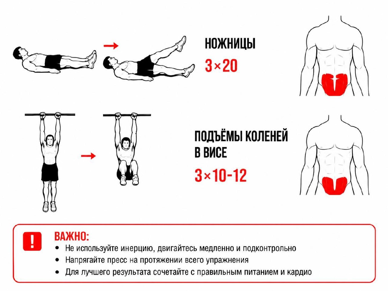 Комплекс из 12 упражнений для пресса за 30 дней