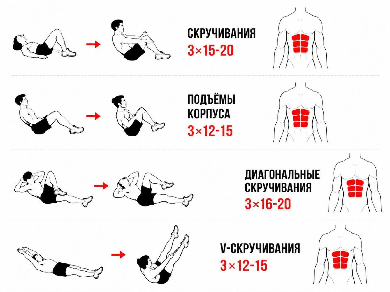 Комплекс из 12 упражнений для пресса за 30 дней