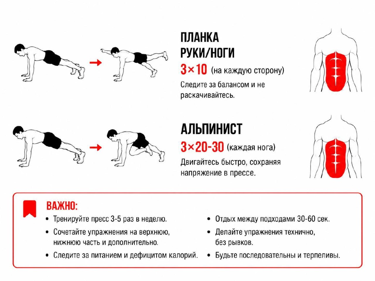 Комплекс из 12 упражнений для пресса за 30 дней