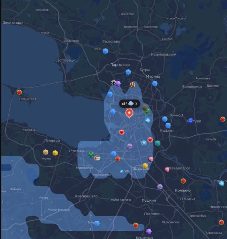 Дождевой котик накрыл Петербург