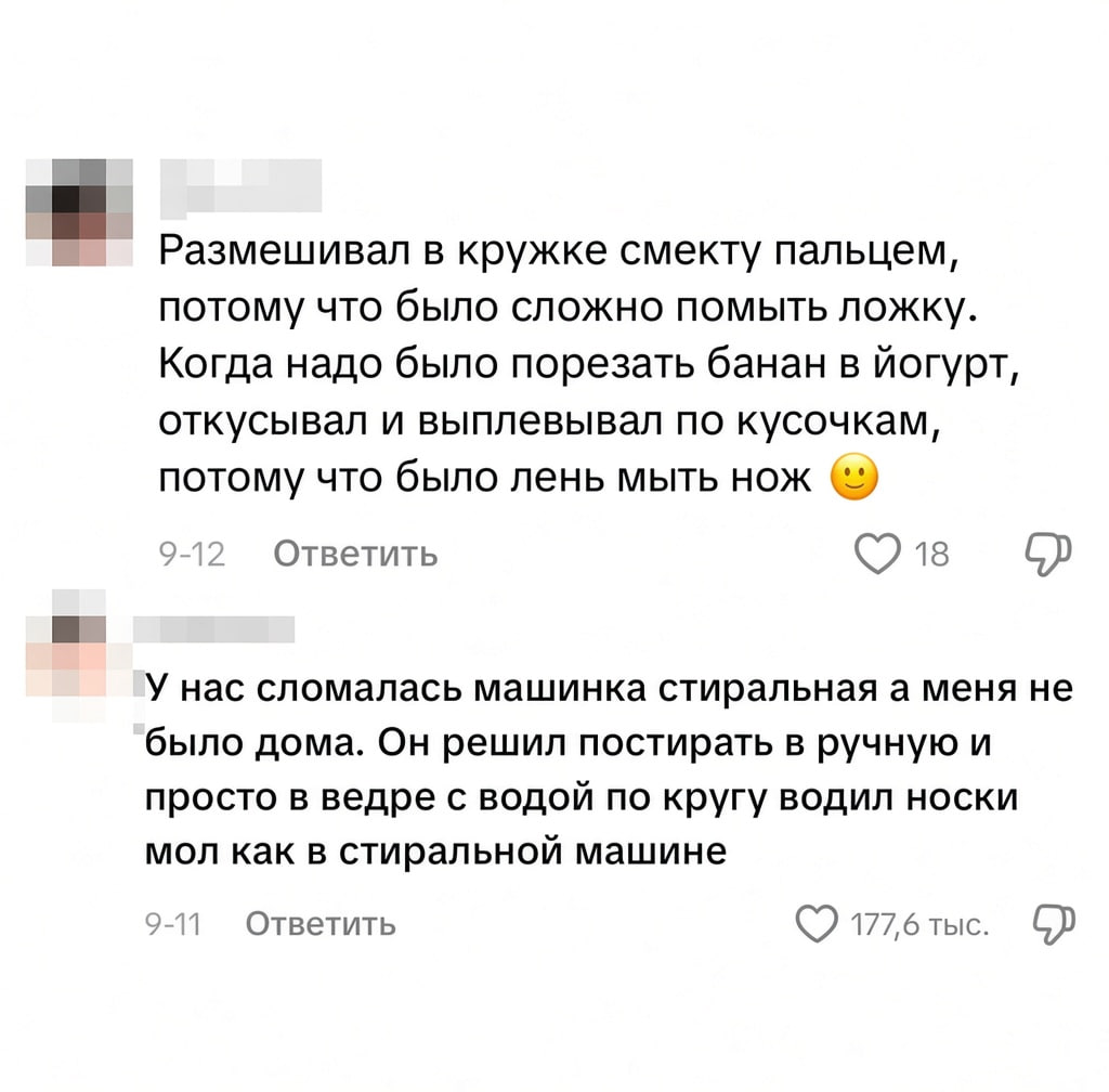 В России набирают популярность няни для мужчин, не умеющих вести быт