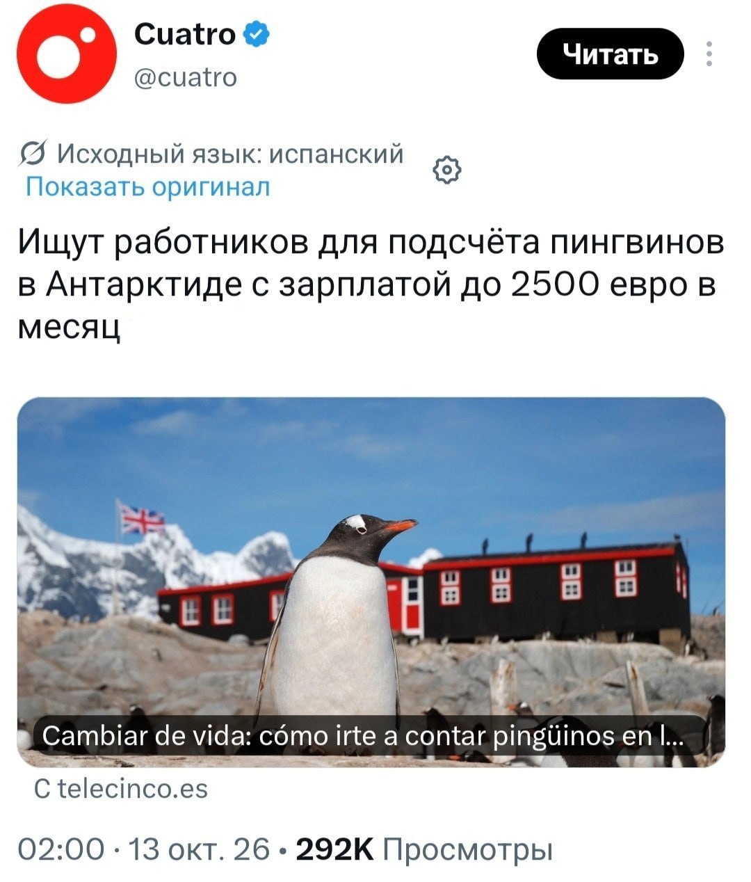 В Антарктиде ищут смотрителя пингвинов с зарплатой 230 тысяч рублей
