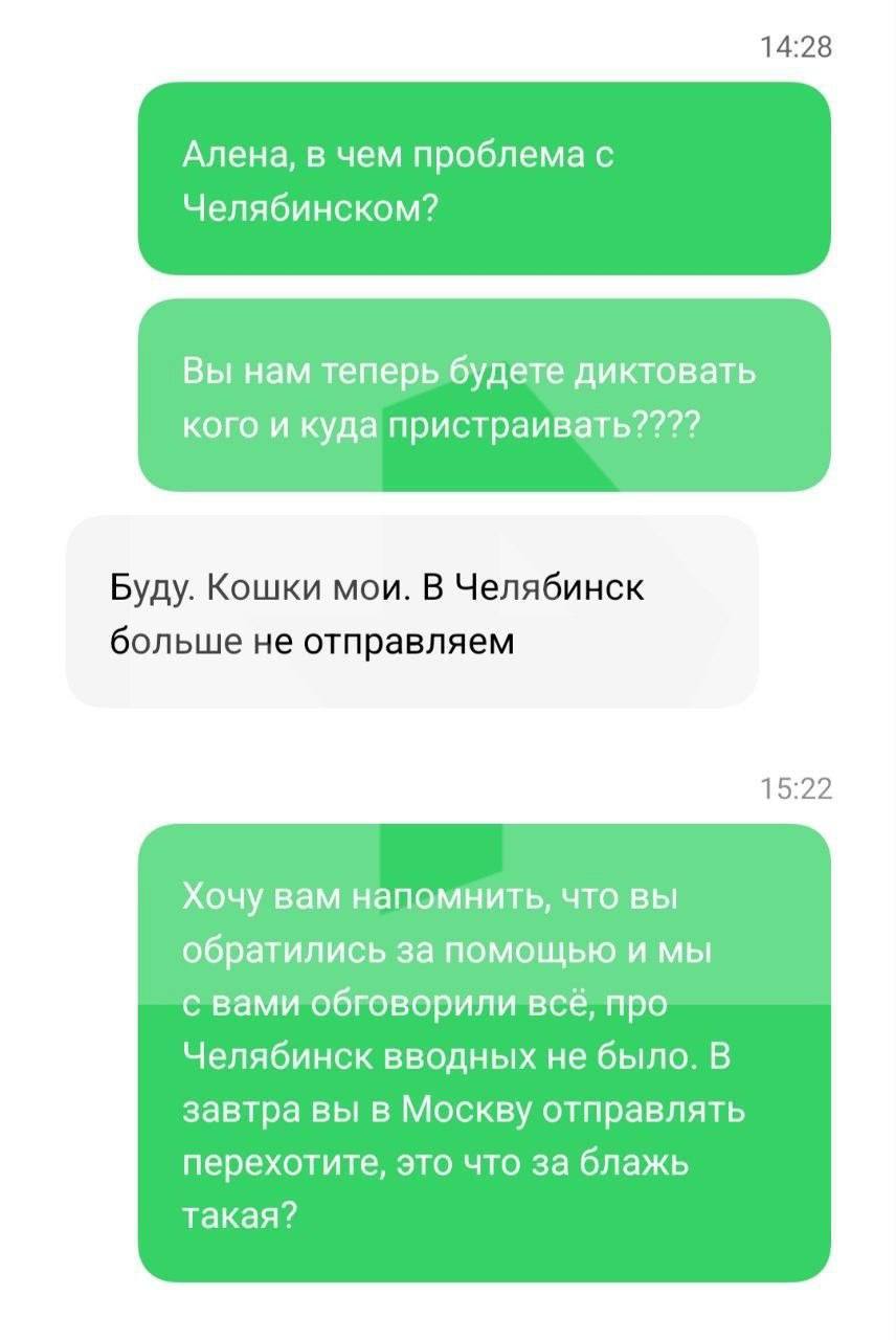 В Энгельсе из квартиры изъяли более 200 сфинксов