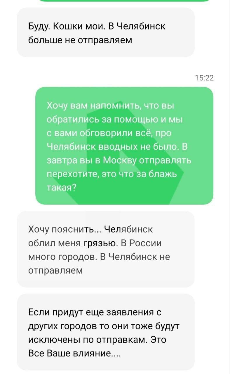 В Энгельсе из квартиры изъяли более 200 сфинксов