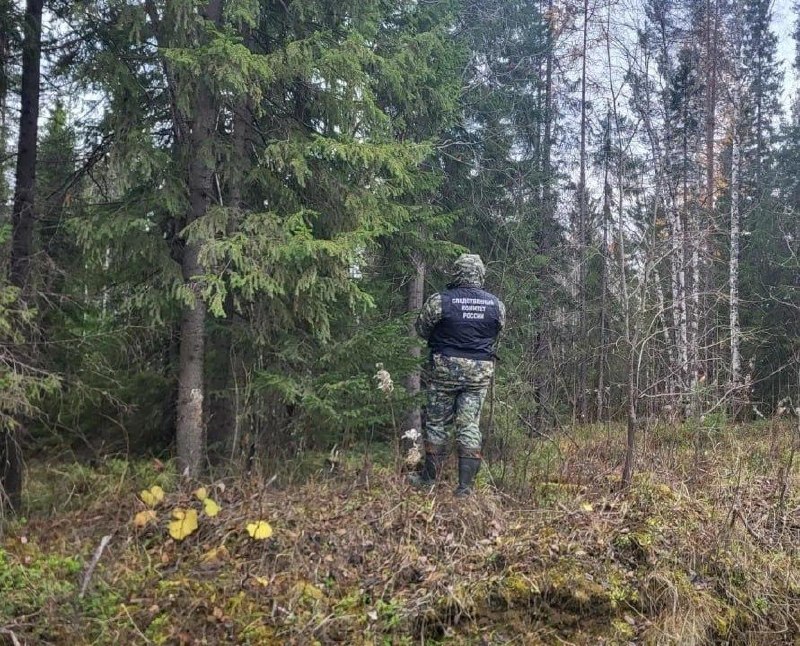 В Архангельской области медведь убил охотника